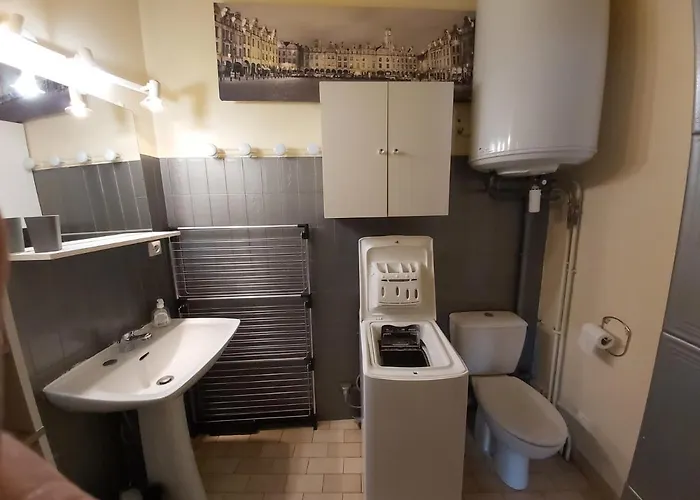 2 A 4 Personnes Avec Garage Prive Lejlighed Le Mont-Dore