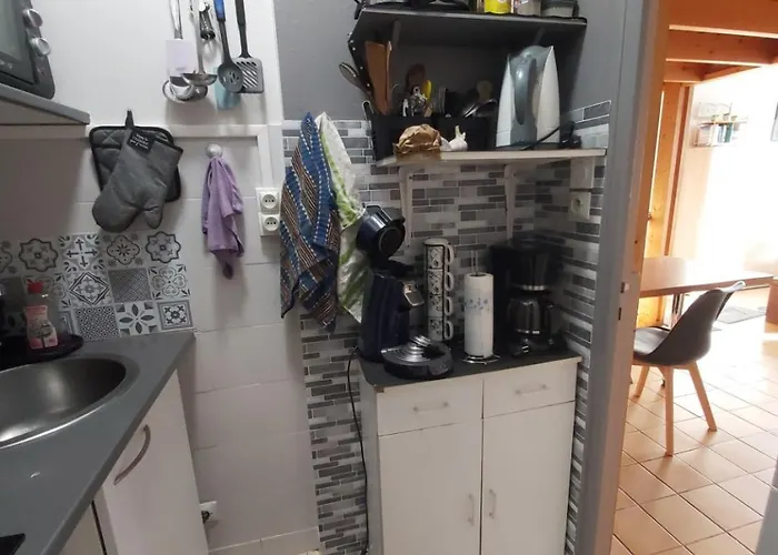 Lejlighed 2 A 4 Personnes Avec Garage Prive Le Mont-Dore